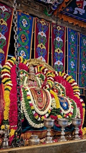 திருவண்ணாமலை அருள்மிகு அருணாசலேஸ்வரர் திருக்கோவில் ஊஞ்சல் உற்சவம்! திருவண்ணாமலை அருள்மிகு அருணாசலேஸ்வரர் திருக்கோவில் ஊஞ்சல் உற்சவம்!