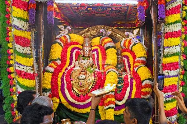 திருவண்ணாமலை அருள்மிகு அருணாசலேஸ்வரர் திருக்கோயில் சித்திரை வசந்த உற்சவம் ஏழாம் நாள்!