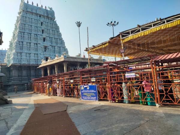 திருவண்ணாமலை அண்ணாமலையார் கோவிலில் நீண்ட வரிசையில் காத்திருக்கும் பக்தர்கள்! திருவண்ணாமலை அண்ணாமலையார் கோவிலில் நீண்ட வரிசையில் காத்திருக்கும் பக்தர்கள்!