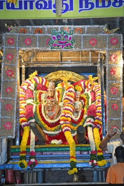 திருவண்ணாமலை அருள்மிகு அருணாசலேஸ்வரர் திருக்கோயில் சித்திரை வசந்த உற்சவம் – DAY 10 திருவண்ணாமலை அருள்மிகு அருணாசலேஸ்வரர் திருக்கோயில் சித்திரை வசந்த உற்சவம் – DAY 10