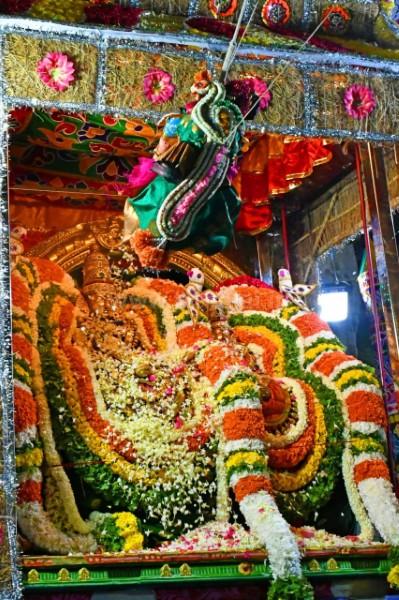 திருவண்ணாமலை அருள்மிகு அருணாசலேஸ்வரர் திருக்கோயில் சித்திரை வசந்த உற்சவம் மூன்றாம் நாள்! திருவண்ணாமலை அருள்மிகு அருணாசலேஸ்வரர் திருக்கோயில் சித்திரை வசந்த உற்சவம் மூன்றாம் நாள்!