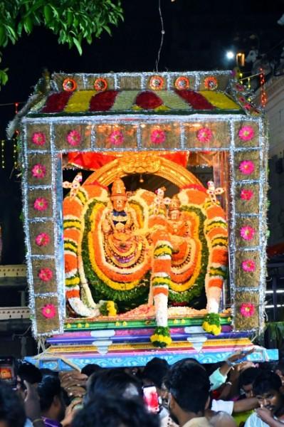 திருவண்ணாமலை அருள்மிகு அருணாசலேஸ்வரர் திருக்கோயில் சித்திரை வசந்த உற்சவம் மூன்றாம் நாள்! திருவண்ணாமலை அருள்மிகு அருணாசலேஸ்வரர் திருக்கோயில் சித்திரை வசந்த உற்சவம் மூன்றாம் நாள்!