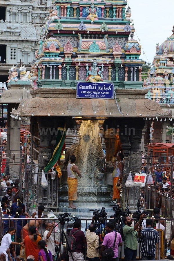 திருவண்ணாமலை அருணாச்சலேஸ்வரர் கோவிலில் வைகாசி மாத அமாவாசை பிரதோஷம்! திருவண்ணாமலை அருணாச்சலேஸ்வரர் கோவிலில் வைகாசி மாத அமாவாசை பிரதோஷம்!