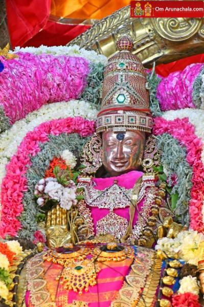 திருவண்ணாமலை அருள்மிகு அருணாசலேஸ்வரர் திருக்கோயில் சித்திரை வசந்த உற்சவம் இரண்டாம் நாள்! திருவண்ணாமலை அருள்மிகு அருணாசலேஸ்வரர் திருக்கோயில் சித்திரை வசந்த உற்சவம் இரண்டாம் நாள்!
