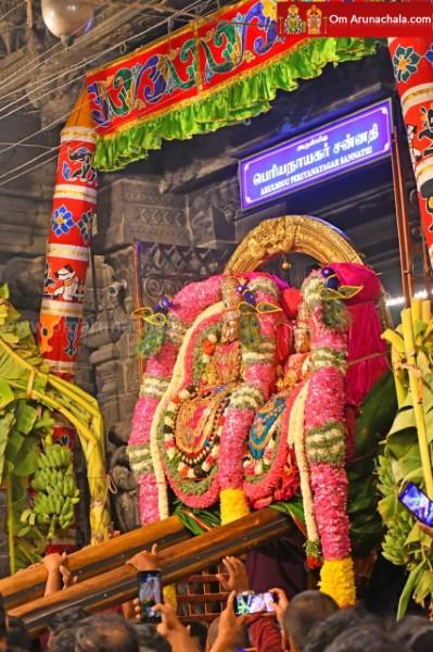 திருவண்ணாமலை அருள்மிகு அருணாசலேஸ்வரர் திருக்கோயில் சித்திரை வசந்த உற்சவம் இரண்டாம் நாள்! திருவண்ணாமலை அருள்மிகு அருணாசலேஸ்வரர் திருக்கோயில் சித்திரை வசந்த உற்சவம் இரண்டாம் நாள்!