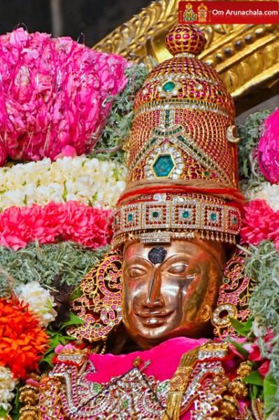 திருவண்ணாமலை அருள்மிகு அருணாசலேஸ்வரர் திருக்கோயில் சித்திரை வசந்த உற்சவம் இரண்டாம் நாள்! திருவண்ணாமலை அருள்மிகு அருணாசலேஸ்வரர் திருக்கோயில் சித்திரை வசந்த உற்சவம் இரண்டாம் நாள்!