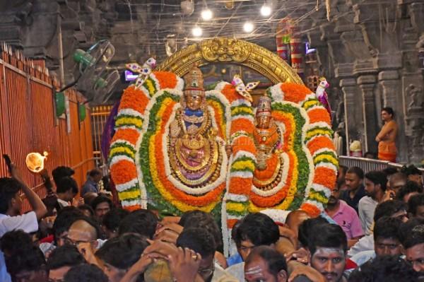 திருவண்ணாமலை அருள்மிகு அருணாசலேஸ்வரர் திருக்கோயில் சித்திரை வசந்த உற்சவம் மூன்றாம் நாள்! திருவண்ணாமலை அருள்மிகு அருணாசலேஸ்வரர் திருக்கோயில் சித்திரை வசந்த உற்சவம் மூன்றாம் நாள்!