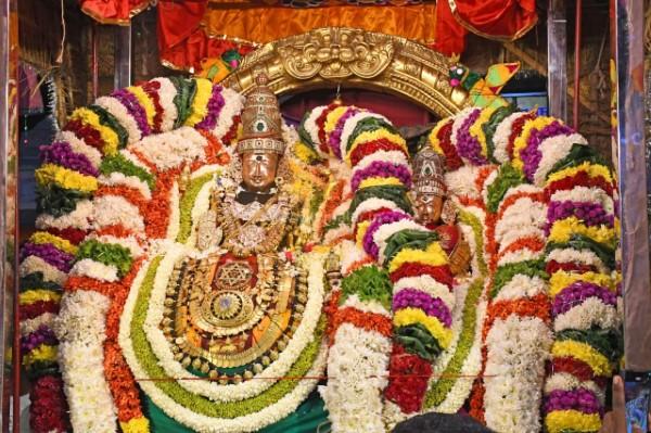 திருவண்ணாமலை அருள்மிகு அருணாசலேஸ்வரர் திருக்கோயில் சித்திரை வசந்த உற்சவம்-Day 5 திருவண்ணாமலை அருள்மிகு அருணாசலேஸ்வரர் திருக்கோயில் சித்திரை வசந்த உற்சவம்-Day 5