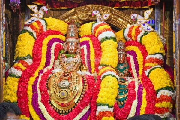 திருவண்ணாமலை அருள்மிகு அருணாசலேஸ்வரர் திருக்கோயில் சித்திரை வசந்த உற்சவம் ஏழாம் நாள்! திருவண்ணாமலை அருள்மிகு அருணாசலேஸ்வரர் திருக்கோயில் சித்திரை வசந்த உற்சவம் ஏழாம் நாள்!