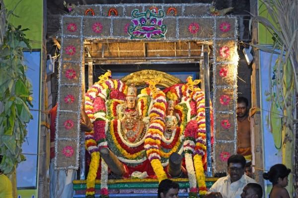 திருவண்ணாமலை அருள்மிகு அருணாசலேஸ்வரர் திருக்கோயில் சித்திரை வசந்த உற்சவம் – DAY 10 திருவண்ணாமலை அருள்மிகு அருணாசலேஸ்வரர் திருக்கோயில் சித்திரை வசந்த உற்சவம் – DAY 10