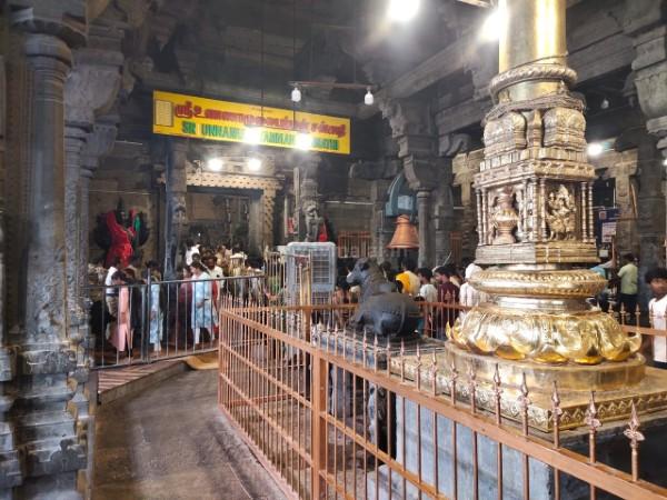 திருவண்ணாமலை அண்ணாமலையார் கோவிலில் நீண்ட வரிசையில் காத்திருக்கும் பக்தர்கள்! திருவண்ணாமலை அண்ணாமலையார் கோவிலில் நீண்ட வரிசையில் காத்திருக்கும் பக்தர்கள்!