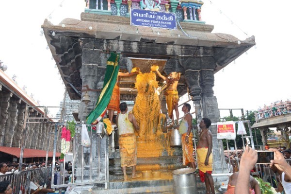 திருவண்ணாமலை அருணாச்சலேஸ்வரர் கோவிலில் வைகாசி மாத அமாவாசை பிரதோஷம்! திருவண்ணாமலை அருணாச்சலேஸ்வரர் கோவிலில் வைகாசி மாத அமாவாசை பிரதோஷம்!