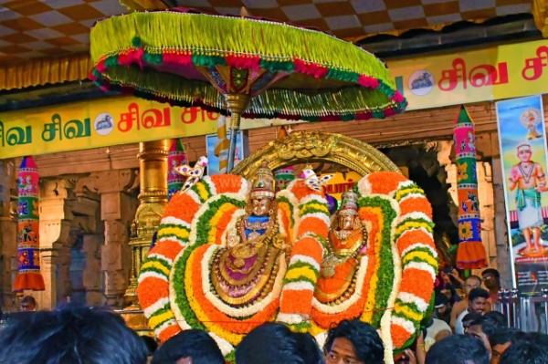 திருவண்ணாமலை அருள்மிகு அருணாசலேஸ்வரர் திருக்கோயில் சித்திரை வசந்த உற்சவம் மூன்றாம் நாள்! திருவண்ணாமலை அருள்மிகு அருணாசலேஸ்வரர் திருக்கோயில் சித்திரை வசந்த உற்சவம் மூன்றாம் நாள்!