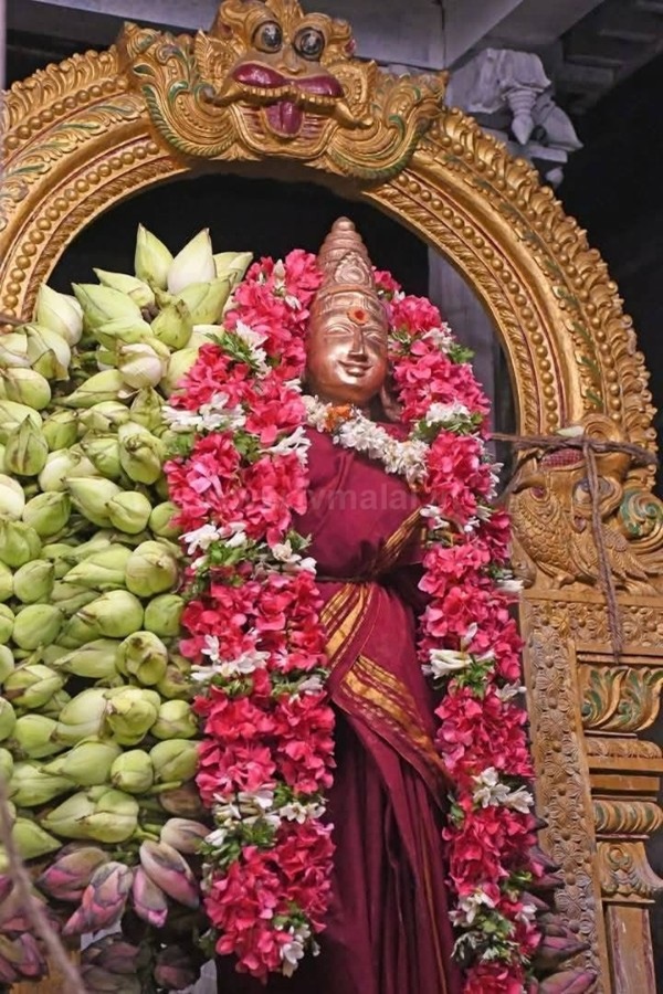 திருவண்ணாமலை அருள்மிகு அருணாசலேஸ்வரர் திருக்கோயில் சித்திரை வசந்த உற்சவம் ஆறாம் நாள்! திருவண்ணாமலை அருள்மிகு அருணாசலேஸ்வரர் திருக்கோயில் சித்திரை வசந்த உற்சவம் ஆறாம் நாள்!