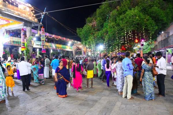 திருவண்ணாமலை அருள்மிகு அருணாசலேஸ்வரர் திருக்கோயில் சித்திரை வசந்த உற்சவம் ஏழாம் நாள்! திருவண்ணாமலை அருள்மிகு அருணாசலேஸ்வரர் திருக்கோயில் சித்திரை வசந்த உற்சவம் ஏழாம் நாள்!