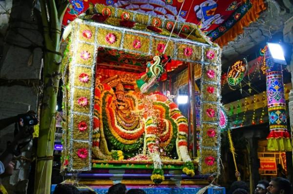 திருவண்ணாமலை அருள்மிகு அருணாசலேஸ்வரர் திருக்கோயில் சித்திரை வசந்த உற்சவம் மூன்றாம் நாள்! திருவண்ணாமலை அருள்மிகு அருணாசலேஸ்வரர் திருக்கோயில் சித்திரை வசந்த உற்சவம் மூன்றாம் நாள்!