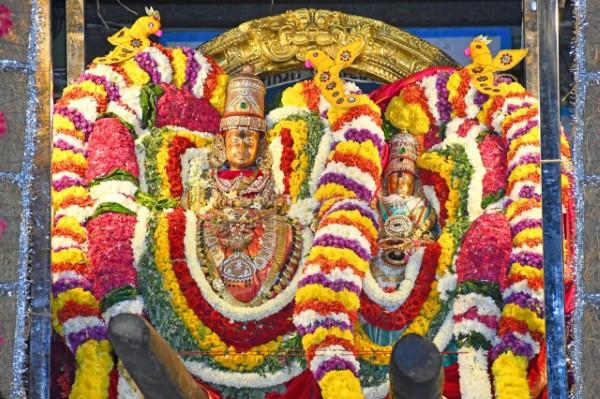 திருவண்ணாமலை அருள்மிகு அருணாசலேஸ்வரர் திருக்கோயில் சித்திரை வசந்த உற்சவம் – DAY 10 திருவண்ணாமலை அருள்மிகு அருணாசலேஸ்வரர் திருக்கோயில் சித்திரை வசந்த உற்சவம் – DAY 10