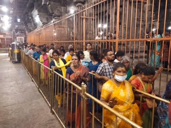 திருவண்ணாமலை அண்ணாமலையார் கோவிலில் நீண்ட வரிசையில் காத்திருக்கும் பக்தர்கள்! திருவண்ணாமலை அண்ணாமலையார் கோவிலில் நீண்ட வரிசையில் காத்திருக்கும் பக்தர்கள்!