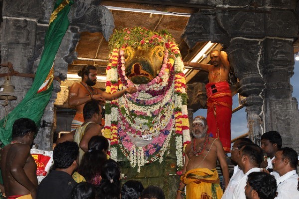 திருவண்ணாமலை அருணாச்சலேஸ்வரர் கோவிலில் வைகாசி மாத அமாவாசை பிரதோஷம்! திருவண்ணாமலை அருணாச்சலேஸ்வரர் கோவிலில் வைகாசி மாத அமாவாசை பிரதோஷம்!