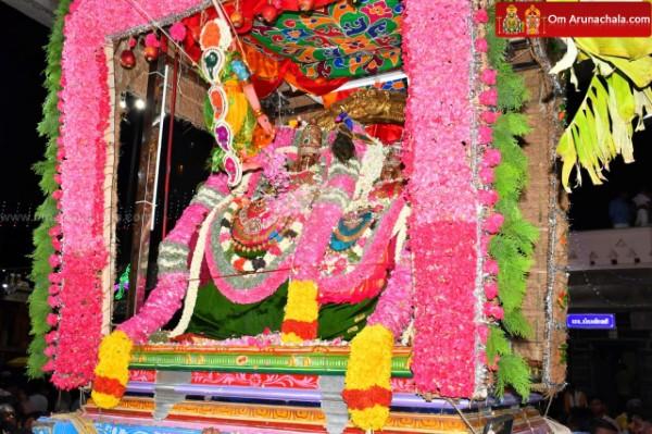 திருவண்ணாமலை அருள்மிகு அருணாசலேஸ்வரர் திருக்கோயில் சித்திரை வசந்த உற்சவம் இரண்டாம் நாள்! திருவண்ணாமலை அருள்மிகு அருணாசலேஸ்வரர் திருக்கோயில் சித்திரை வசந்த உற்சவம் இரண்டாம் நாள்!