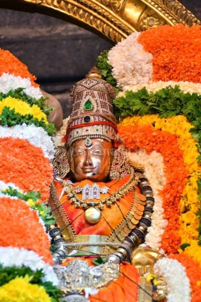 திருவண்ணாமலை அருள்மிகு அருணாசலேஸ்வரர் திருக்கோயில் சித்திரை வசந்த உற்சவம் மூன்றாம் நாள்! திருவண்ணாமலை அருள்மிகு அருணாசலேஸ்வரர் திருக்கோயில் சித்திரை வசந்த உற்சவம் மூன்றாம் நாள்!