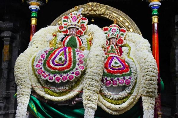 திருவண்ணாமலை அருள்மிகு அருணாசலேஸ்வரர் திருக்கோயில் சித்திரை வசந்த உற்சவம்-Day 5 திருவண்ணாமலை அருள்மிகு அருணாசலேஸ்வரர் திருக்கோயில் சித்திரை வசந்த உற்சவம்-Day 5