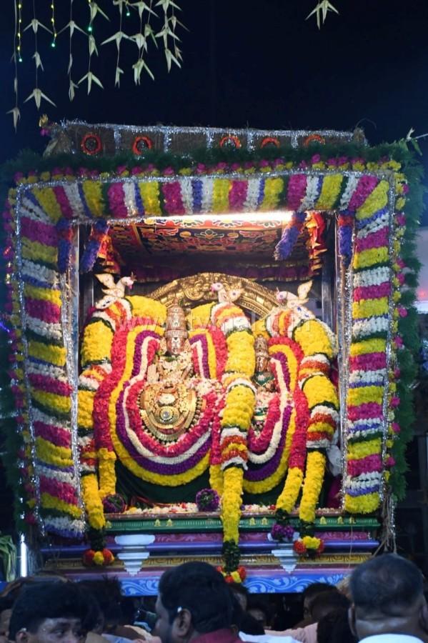திருவண்ணாமலை அருள்மிகு அருணாசலேஸ்வரர் திருக்கோயில் சித்திரை வசந்த உற்சவம் ஏழாம் நாள்! திருவண்ணாமலை அருள்மிகு அருணாசலேஸ்வரர் திருக்கோயில் சித்திரை வசந்த உற்சவம் ஏழாம் நாள்!