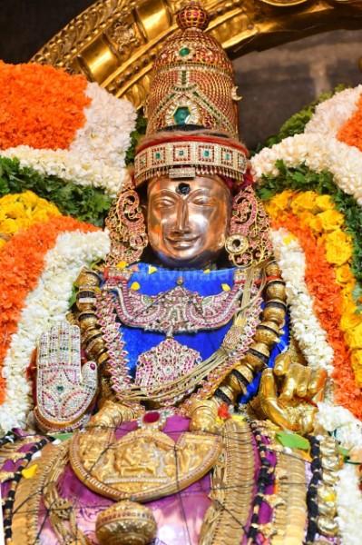 திருவண்ணாமலை அருள்மிகு அருணாசலேஸ்வரர் திருக்கோயில் சித்திரை வசந்த உற்சவம் மூன்றாம் நாள்! திருவண்ணாமலை அருள்மிகு அருணாசலேஸ்வரர் திருக்கோயில் சித்திரை வசந்த உற்சவம் மூன்றாம் நாள்!
