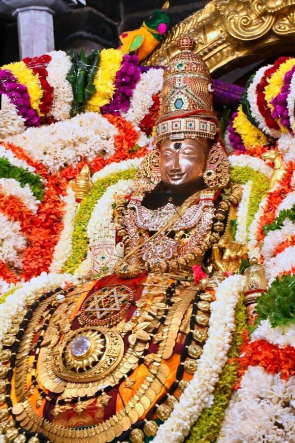திருவண்ணாமலை அருள்மிகு அருணாசலேஸ்வரர் திருக்கோயில் சித்திரை வசந்த உற்சவம்-Day 5 திருவண்ணாமலை அருள்மிகு அருணாசலேஸ்வரர் திருக்கோயில் சித்திரை வசந்த உற்சவம்-Day 5