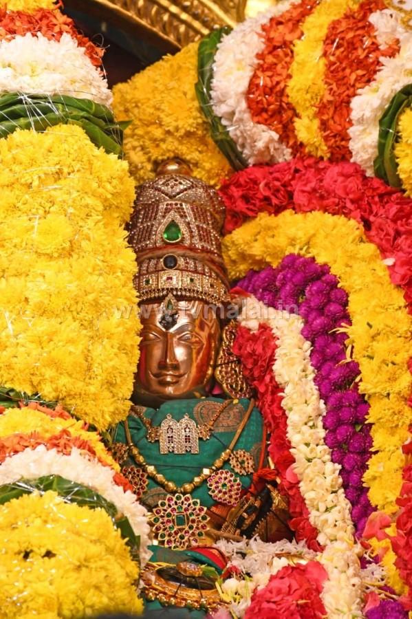 திருவண்ணாமலை அருள்மிகு அருணாசலேஸ்வரர் திருக்கோயில் சித்திரை வசந்த உற்சவம் ஏழாம் நாள்! திருவண்ணாமலை அருள்மிகு அருணாசலேஸ்வரர் திருக்கோயில் சித்திரை வசந்த உற்சவம் ஏழாம் நாள்!