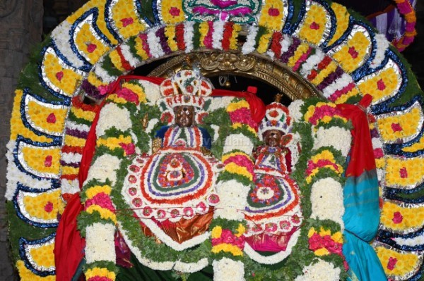 திருவண்ணாமலை அருள்மிகு அருணாசலேஸ்வரர் திருக்கோயில் சித்திரை வசந்த உற்சவம் – Day 8 திருவண்ணாமலை அருள்மிகு அருணாசலேஸ்வரர் திருக்கோயில் சித்திரை வசந்த உற்சவம் – Day 8