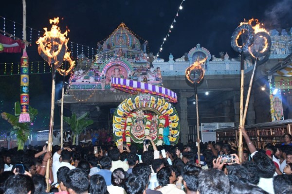 திருவண்ணாமலை அருள்மிகு அருணாசலேஸ்வரர் திருக்கோயில் சித்திரை வசந்த உற்சவம் – Day 8 திருவண்ணாமலை அருள்மிகு அருணாசலேஸ்வரர் திருக்கோயில் சித்திரை வசந்த உற்சவம் – Day 8
