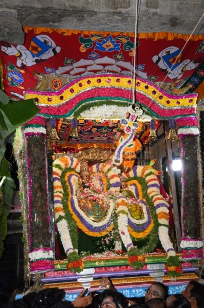 திருவண்ணாமலை அருள்மிகு அருணாசலேஸ்வரர் திருக்கோயில் சித்திரை வசந்த உற்சவம் – Day 8 திருவண்ணாமலை அருள்மிகு அருணாசலேஸ்வரர் திருக்கோயில் சித்திரை வசந்த உற்சவம் – Day 8