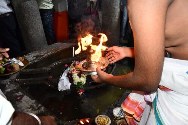 திருவண்ணாமலை அருள்மிகு அருணாசலேஸ்வரர் திருக்கோயில் சித்திரை வசந்த உற்சவம் – Day 8 திருவண்ணாமலை அருள்மிகு அருணாசலேஸ்வரர் திருக்கோயில் சித்திரை வசந்த உற்சவம் – Day 8