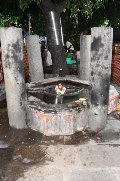 திருவண்ணாமலை அருள்மிகு அருணாசலேஸ்வரர் திருக்கோயில் சித்திரை வசந்த உற்சவம் – Day 8 திருவண்ணாமலை அருள்மிகு அருணாசலேஸ்வரர் திருக்கோயில் சித்திரை வசந்த உற்சவம் – Day 8