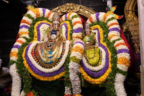 திருவண்ணாமலை அருள்மிகு அருணாசலேஸ்வரர் திருக்கோயில் சித்திரை வசந்த உற்சவம் – Day 8 திருவண்ணாமலை அருள்மிகு அருணாசலேஸ்வரர் திருக்கோயில் சித்திரை வசந்த உற்சவம் – Day 8