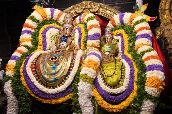 திருவண்ணாமலை அருள்மிகு அருணாசலேஸ்வரர் திருக்கோயில் சித்திரை வசந்த உற்சவம் – Day 8