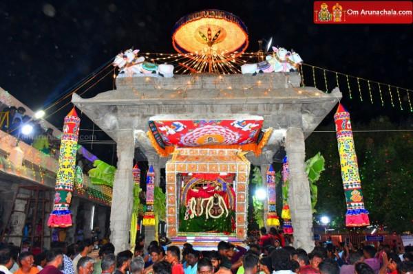 திருவண்ணாமலை அருள்மிகு அருணாசலேஸ்வரர் திருக்கோயில் சித்திரை வசந்த உற்சவம் இரண்டாம் நாள்! திருவண்ணாமலை அருள்மிகு அருணாசலேஸ்வரர் திருக்கோயில் சித்திரை வசந்த உற்சவம் இரண்டாம் நாள்!