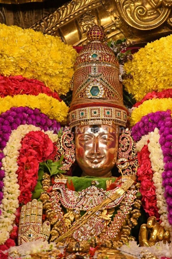 திருவண்ணாமலை அருள்மிகு அருணாசலேஸ்வரர் திருக்கோயில் சித்திரை வசந்த உற்சவம் ஏழாம் நாள்! திருவண்ணாமலை அருள்மிகு அருணாசலேஸ்வரர் திருக்கோயில் சித்திரை வசந்த உற்சவம் ஏழாம் நாள்!