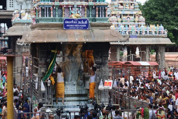 திருவண்ணாமலை அருணாச்சலேஸ்வரர் கோவிலில் வைகாசி மாத அமாவாசை பிரதோஷம்! திருவண்ணாமலை அருணாச்சலேஸ்வரர் கோவிலில் வைகாசி மாத அமாவாசை பிரதோஷம்!