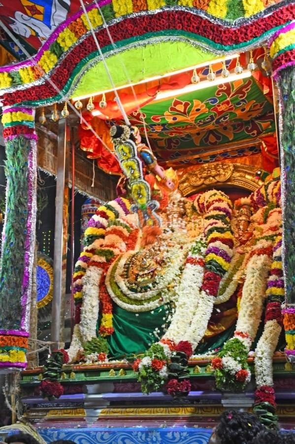 திருவண்ணாமலை அருள்மிகு அருணாசலேஸ்வரர் திருக்கோயில் சித்திரை வசந்த உற்சவம்-Day 5 திருவண்ணாமலை அருள்மிகு அருணாசலேஸ்வரர் திருக்கோயில் சித்திரை வசந்த உற்சவம்-Day 5
