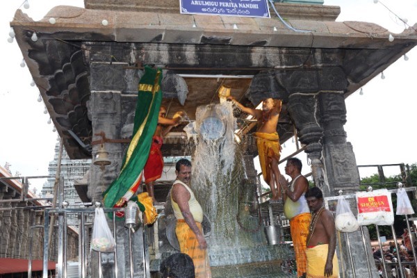 திருவண்ணாமலை அருணாச்சலேஸ்வரர் கோவிலில் வைகாசி மாத அமாவாசை பிரதோஷம்! திருவண்ணாமலை அருணாச்சலேஸ்வரர் கோவிலில் வைகாசி மாத அமாவாசை பிரதோஷம்!