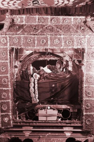 திருவண்ணாமலை அருள்மிகு அருணாசலேஸ்வரர் திருக்கோயில் சித்திரை வசந்த உற்சவம் மூன்றாம் நாள்! திருவண்ணாமலை அருள்மிகு அருணாசலேஸ்வரர் திருக்கோயில் சித்திரை வசந்த உற்சவம் மூன்றாம் நாள்!