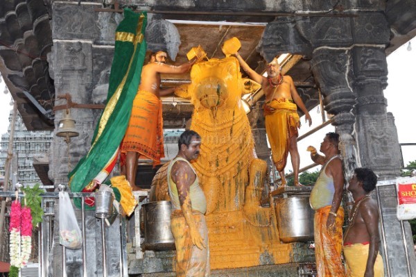 திருவண்ணாமலை அருணாச்சலேஸ்வரர் கோவிலில் வைகாசி மாத அமாவாசை பிரதோஷம்! திருவண்ணாமலை அருணாச்சலேஸ்வரர் கோவிலில் வைகாசி மாத அமாவாசை பிரதோஷம்!