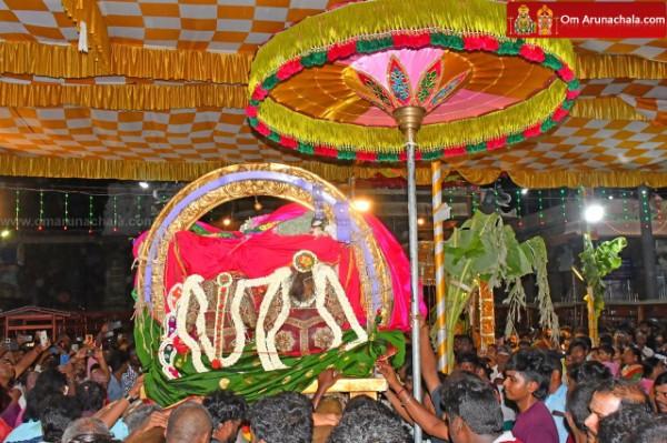 திருவண்ணாமலை அருள்மிகு அருணாசலேஸ்வரர் திருக்கோயில் சித்திரை வசந்த உற்சவம் இரண்டாம் நாள்! திருவண்ணாமலை அருள்மிகு அருணாசலேஸ்வரர் திருக்கோயில் சித்திரை வசந்த உற்சவம் இரண்டாம் நாள்!