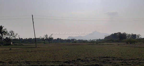 கலசபாக்கம் அடுத்த வில்வாரணி பகுதியில் விவசாய நிலம் குத்தகைக்கு! கலசபாக்கம் அடுத்த வில்வாரணி பகுதியில் விவசாய நிலம் குத்தகைக்கு!