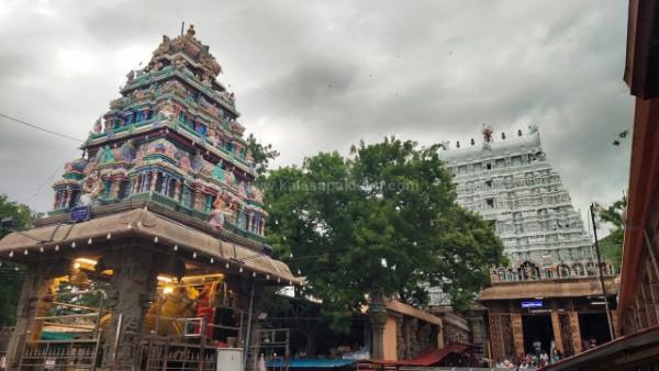 திருவண்ணாமலை அருணாச்சலேஸ்வரர் கோவிலில் ஆடி மாத அமாவாசை பிரதோஷம்! திருவண்ணாமலை அருணாச்சலேஸ்வரர் கோவிலில் ஆடி மாத அமாவாசை பிரதோஷம்!