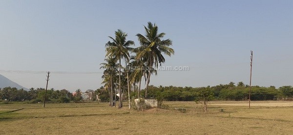 கலசபாக்கம் அடுத்த வில்வாரணி பகுதியில் விவசாய நிலம் குத்தகைக்கு! கலசபாக்கம் அடுத்த வில்வாரணி பகுதியில் விவசாய நிலம் குத்தகைக்கு!
