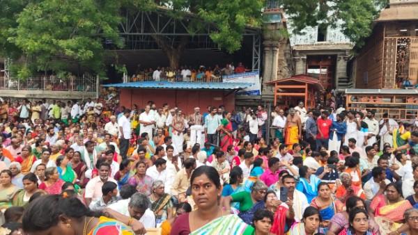 திருவண்ணாமலை அருணாச்சலேஸ்வரர் கோவிலில் ஆடி மாத அமாவாசை பிரதோஷம்! திருவண்ணாமலை அருணாச்சலேஸ்வரர் கோவிலில் ஆடி மாத அமாவாசை பிரதோஷம்!