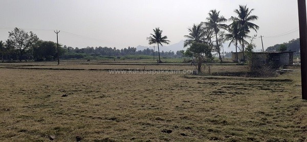 கலசபாக்கம் அடுத்த வில்வாரணி பகுதியில் விவசாய நிலம் குத்தகைக்கு! கலசபாக்கம் அடுத்த வில்வாரணி பகுதியில் விவசாய நிலம் குத்தகைக்கு!